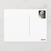 アフガンハウンド ポストカード (裏面)