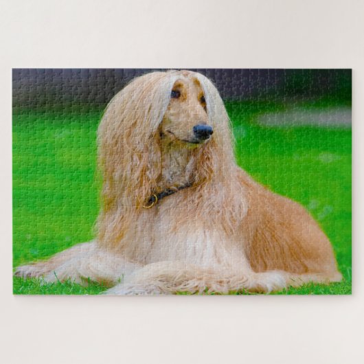 アフガン・グレイハウンド犬。 ジグソーパズル (横)