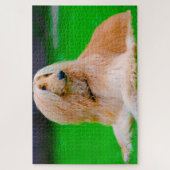 アフガン・グレイハウンド犬。 ジグソーパズル (縦)