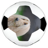 アフガン・レイイング サッカーボール (回転)