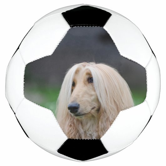 アフガン・レイイング サッカーボール (正面)