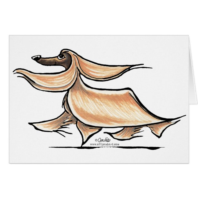 アフガ忙しンハウンド (正面横)