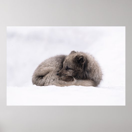 アフタヌーンシエスタ ポスター (正面)