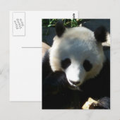 アフタヌーンスナック1 ポストカード (正面/裏面)