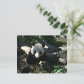 アフタヌーンスナック ポストカード (スタンド正面)