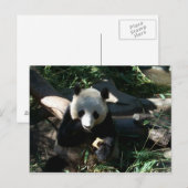 アフタヌーンスナック ポストカード (正面/裏面)