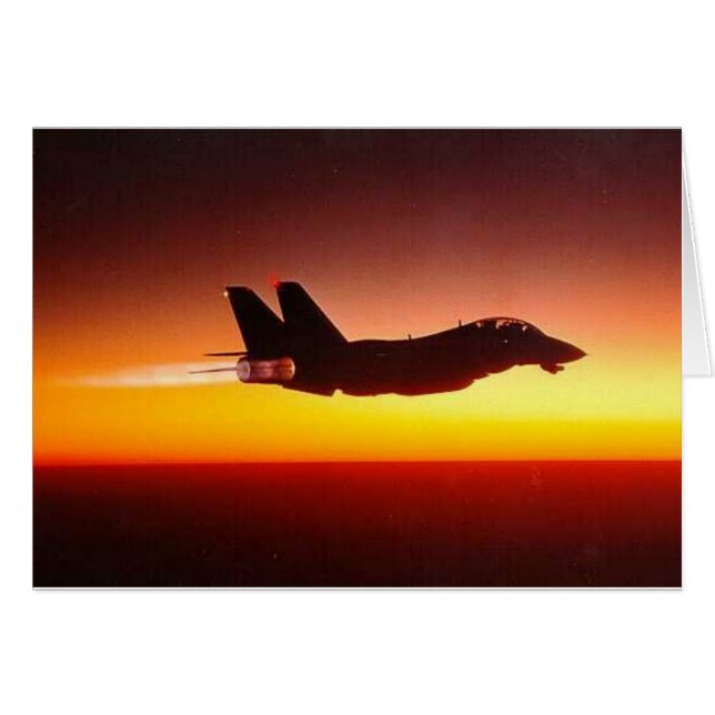 アフターバーナーのF-14雄猫 (正面横)