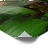 アフター雨来日照知恵ことわざポスター ポスター (角)