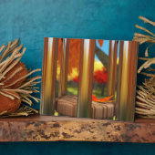 アフター・ザ・ウィンド・写真・プラーク フォトプラーク (側面)