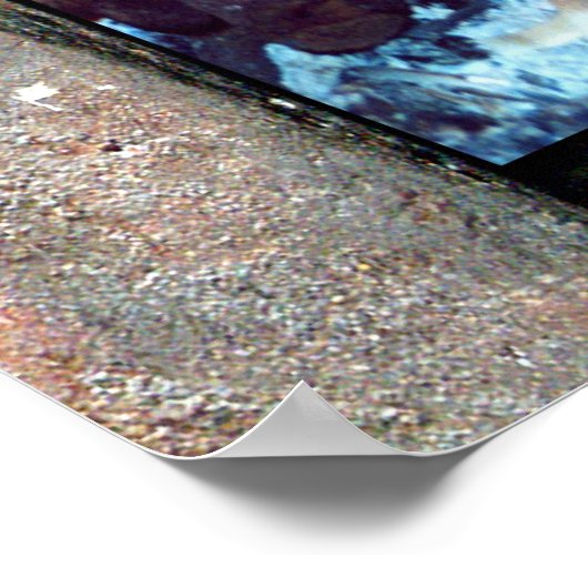 アフラム ポスター (角)