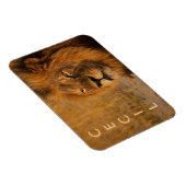 アフリカからライオンをセシル マグネット (右側)