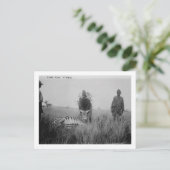 アフリカで先住民に殺されたゼブラ写真 ポストカード (スタンド正面)