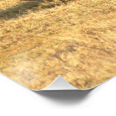 アフリカのかわいいサイ ポスター (コーナー)