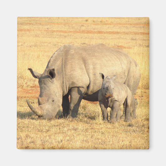 アフリカのかわいいサイ マグネット (正面)