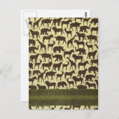 アフリカのはがき動物 ポストカード (正面/裏面)