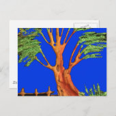 アフリカのアカシア美しい：セレンゲティ。 ポストカード (正面/裏面)