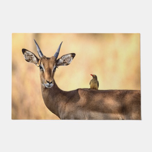 アフリカのインパラとオキペッカーの鳥 ドアマット (正面)