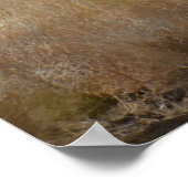 アフリカのオリックス ポスター (角)