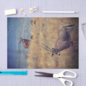 アフリカのオリックス 薄葉紙 (クラフト)