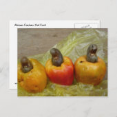 アフリカのカシューナッツのフルーツポストカード ポストカード (正面/裏面)