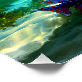 アフリカのカチフタのクチフタ水族館芸術 ポスター (コーナー)