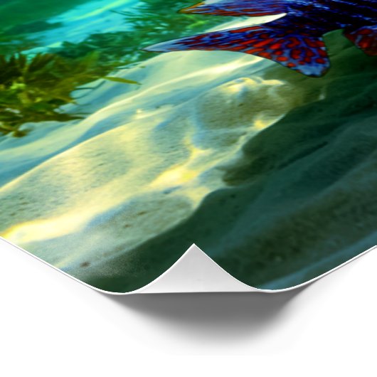 アフリカのカチフタのクチフタ水族館芸術 ポスター (コーナー)