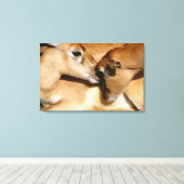 アフリカのカモシカと子鹿 キャンバスプリント (インサイチュ (ウッドフロア))