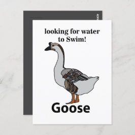 アフリカのガチョウを泳ぐために水を探しているガチョウ ポストカード