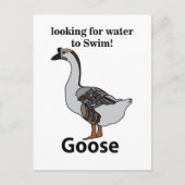 アフリカのガチョウを泳ぐために水を探しているガチョウ ポストカード (正面)