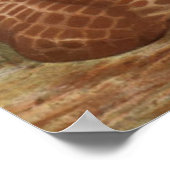 アフリカのキリンのポスター ポスター (角)