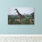 アフリカのキリン キャンバスプリント (インサイチュ (ウッドフロア))