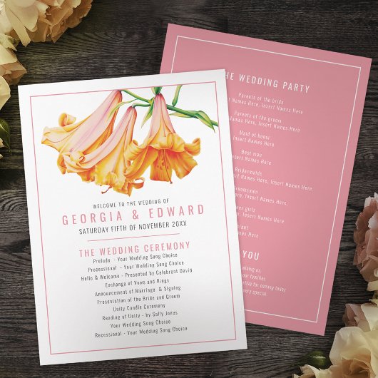 アフリカのクイーンユリのオレンジ色結婚の水色 プログラム