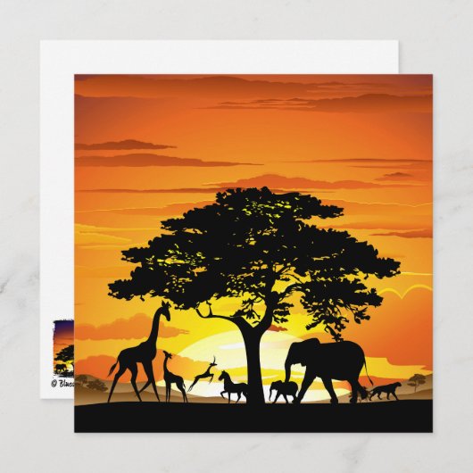 アフリカのサバンナに生息する野生動物の夕日 (正面/裏面)