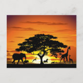 アフリカのサバンナに生息する野生動物の夕日 ポストカード (正面)