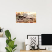 アフリカのサバンナの白黒アカシア ポスター (ホームオフィス)