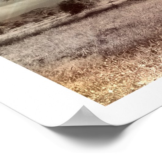 アフリカのサバンナポストの白黒アカシア ポスター (角)