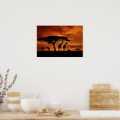 アフリカのサファリで夕暮れ ポスター (キッチン)