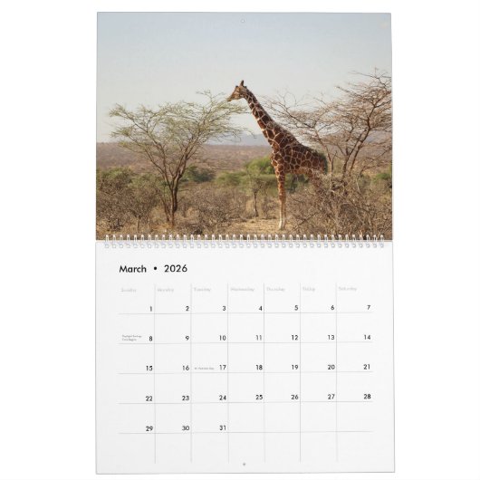 アフリカのサファリのカレンダー カレンダー (3月 2026)