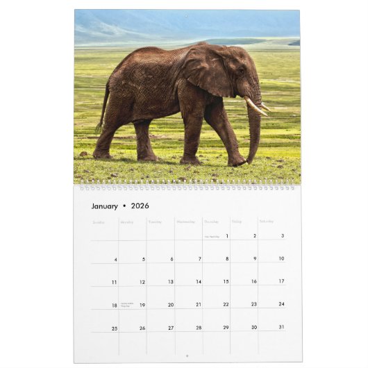 アフリカのサファリのカレンダー カレンダー (1月 2026)