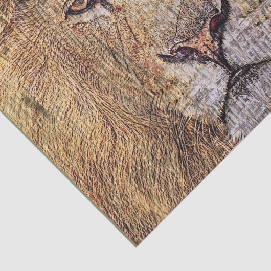 アフリカのサファリの動物の威厳のあるライオン 薄葉紙 (詳細)