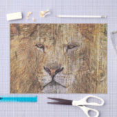 アフリカのサファリの動物の威厳のあるライオン 薄葉紙 (クラフト)