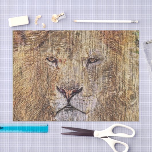 アフリカのサファリの動物の威厳のあるライオン 薄葉紙