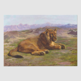 アフリカのサファリ風の野生のライオン 薄葉紙
