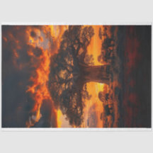 アフリカのサンセットツリーゾウの切り離し