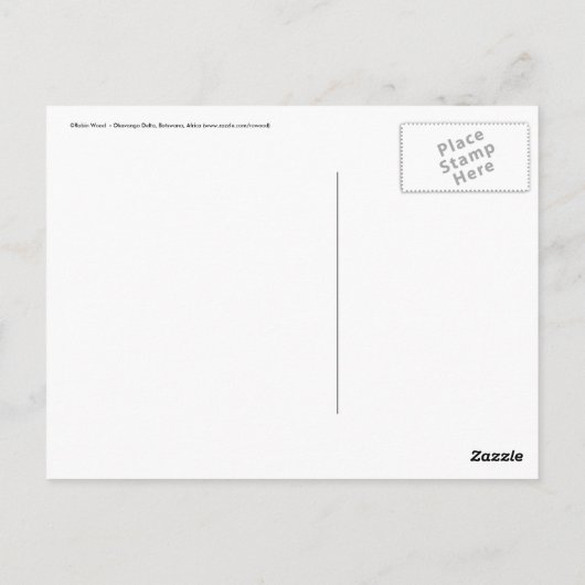 アフリカのサンセットボツワナのポストカード ポストカード (裏面)