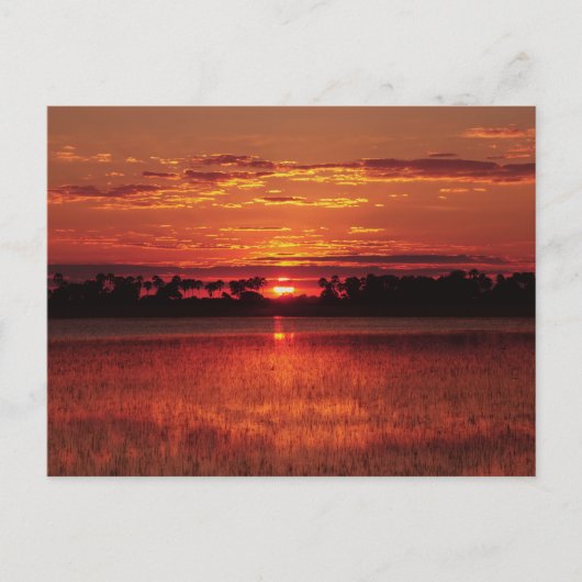 アフリカのサンセットボツワナのポストカード ポストカード (正面)