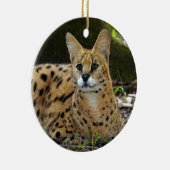 アフリカのサーバルのクリスマスのオーナメント セラミックオーナメント (右)