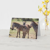 アフリカのシマウマカード カード (黄色い花)