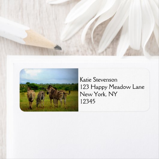 アフリカのシマウマ ラベル (インサイチュ)