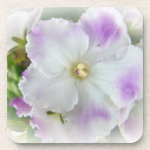 アフリカのスミレの花 コースター (正面)